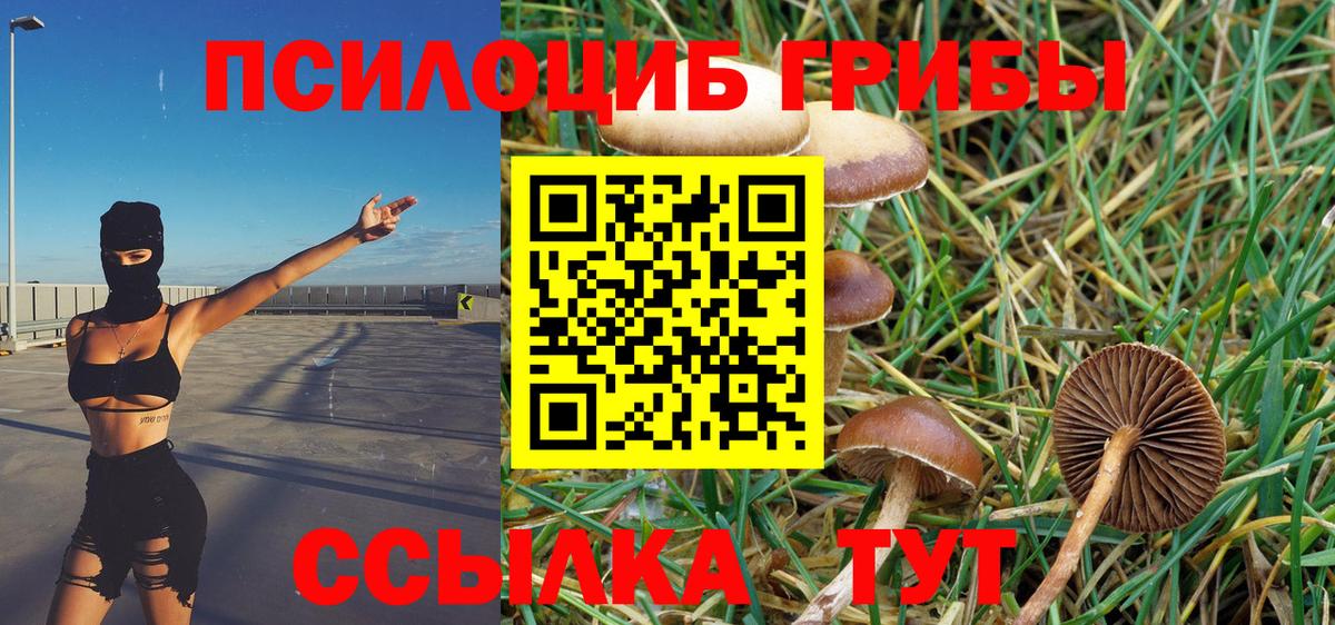 Галлюциногенные грибы Psilocybine cubensis  Вход с VPN  Псилоцибиновые грибы GOLDEN TEACHER  купить наркотик  Киреевск 